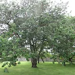 Le Manoir De Placy - D'hotes Bed & Breakfast 3*