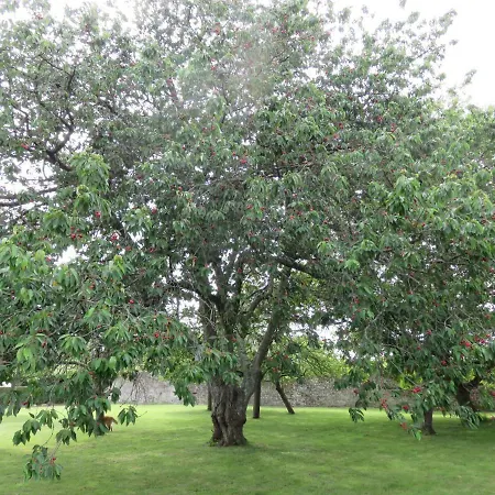 Le Manoir De Placy - D'hotes Bed & Breakfast 3*