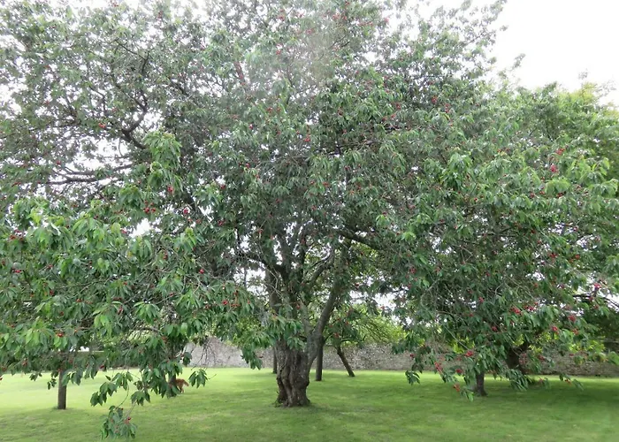 Le Manoir De Placy - D'hotes Bed & Breakfast 3*